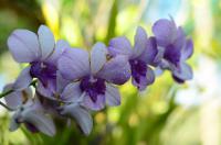 เข้าสู่ blog ของ  