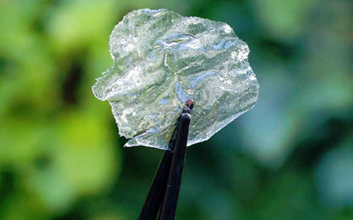 มันฝรั่งโปร่งใส