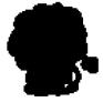 จากรูป เป็นเงาของรูปใด