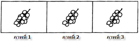 ภาพใดมีจำนวนน้อยที่สุด