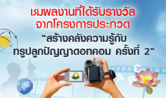 ชมผลงานเข้าประกวดในโครงการ