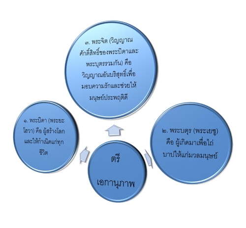 My Image 17