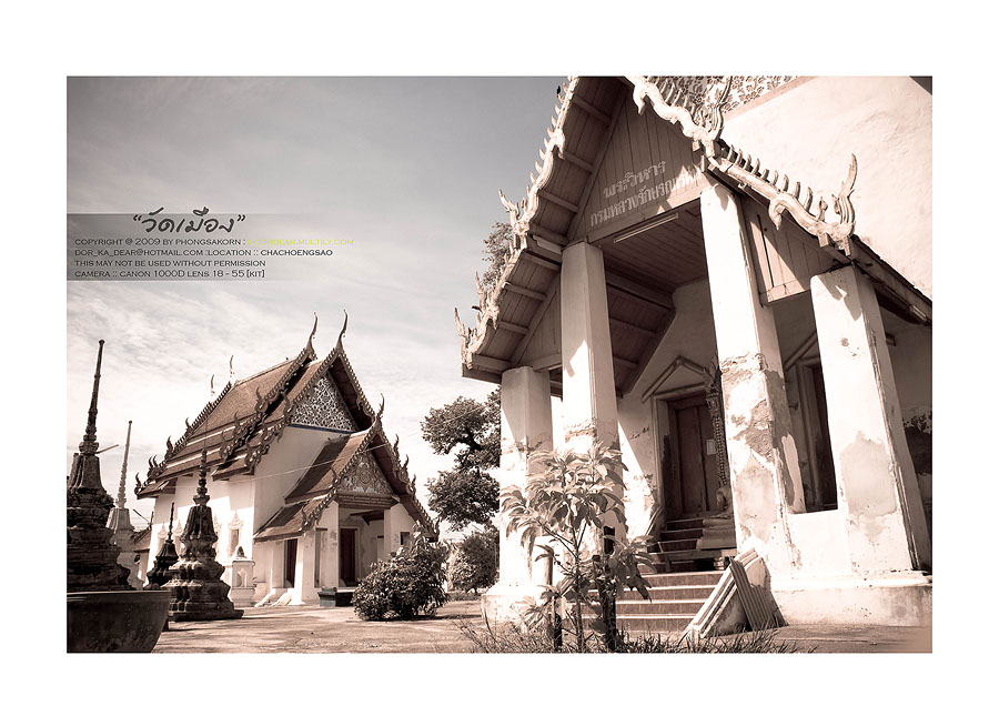 วัดปิตุลาธิราชรังสฤษฎิ์ (วัดเมือง)