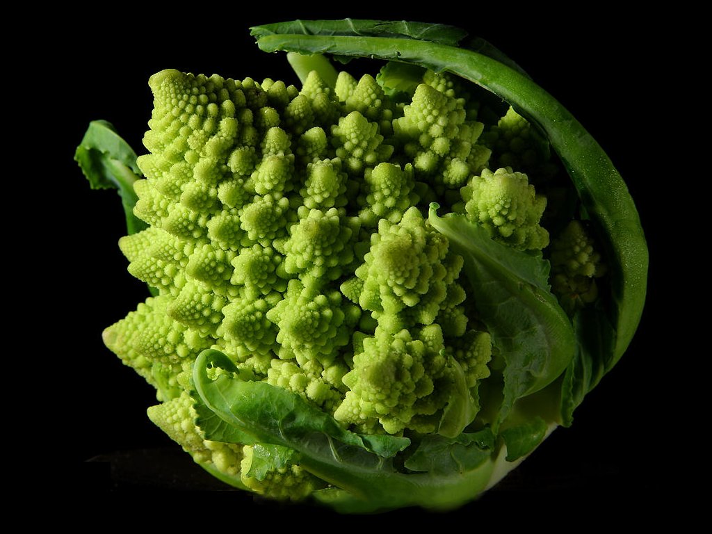 FRACTAL