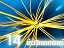 14 ข่าววิทยาศาสตร์สุดยอด แห่งปี 2555