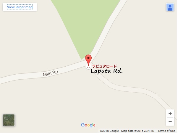 https://www.google.com/maps/@32.963324,130.999508,19z?hl=en-US