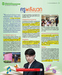 หน้าที่ 17