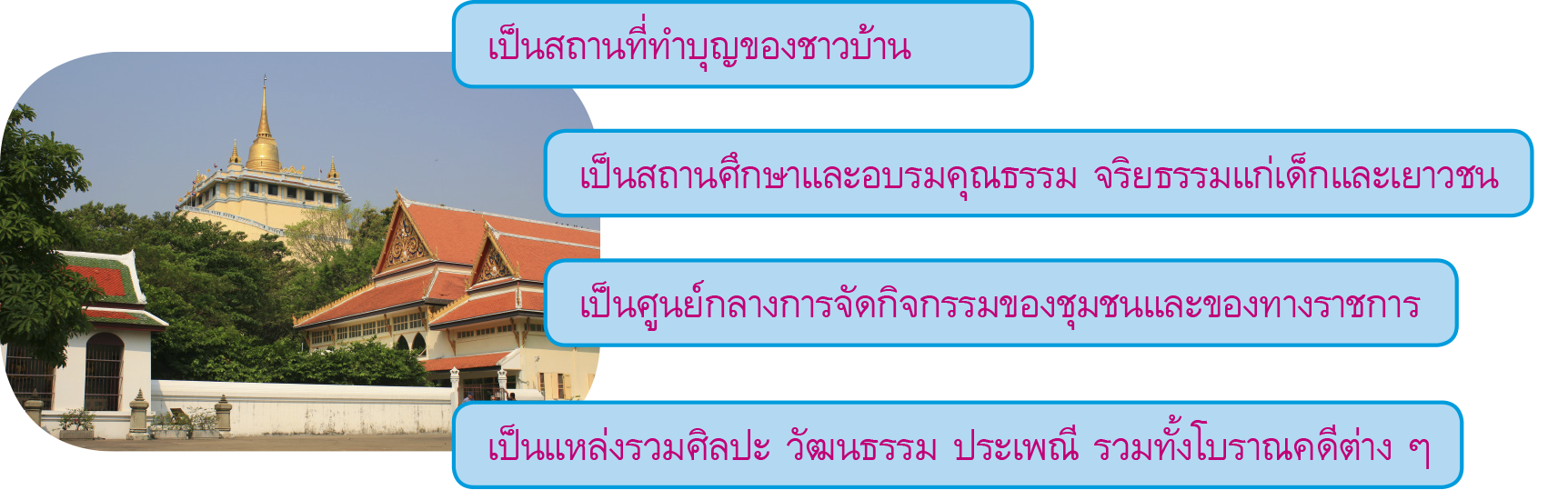 การปลูกจิตสำนึก