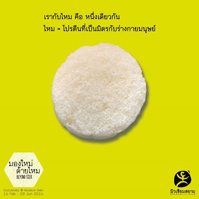 โปรตีนไหม โปรตีนไหม
