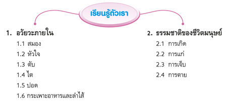 เรียนรู้ตัวเรา