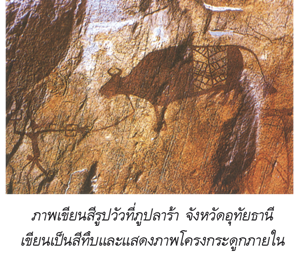 ภาพเขียนสีรูปวัวที่ภูปลาร้า จ.อุทัยธานี