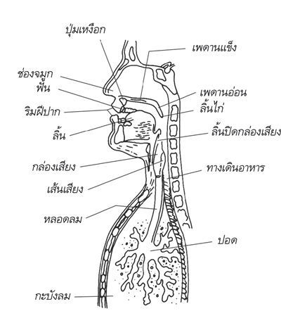 กำเนิดของเสียง