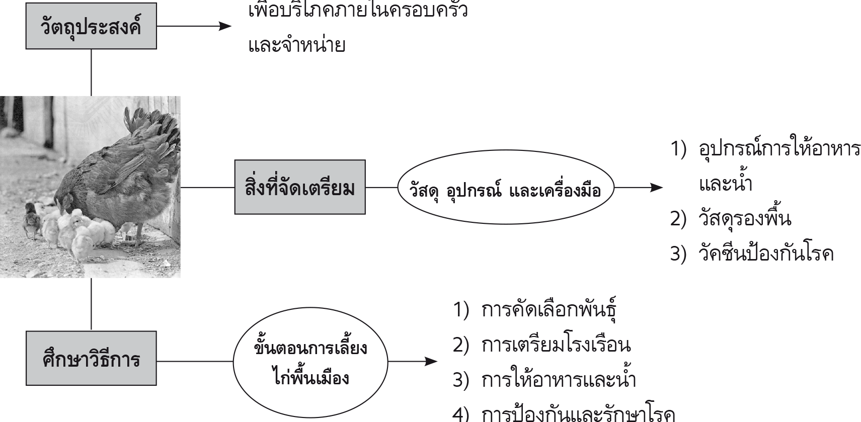 บทเรียนออนไลน์ วิชาการงานอาชีพและเทคโนโลยี เรื่อง เลี้ยงสัตว์อย่างไรดี |  Trueplookpanya