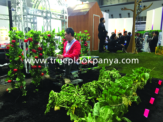 หุ่นยนต์เก็บผลผลิตด้านการเกษตร