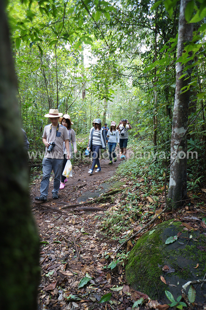 ภูทับเบิก Landmark ใหม่ของเพชรบูรณ์