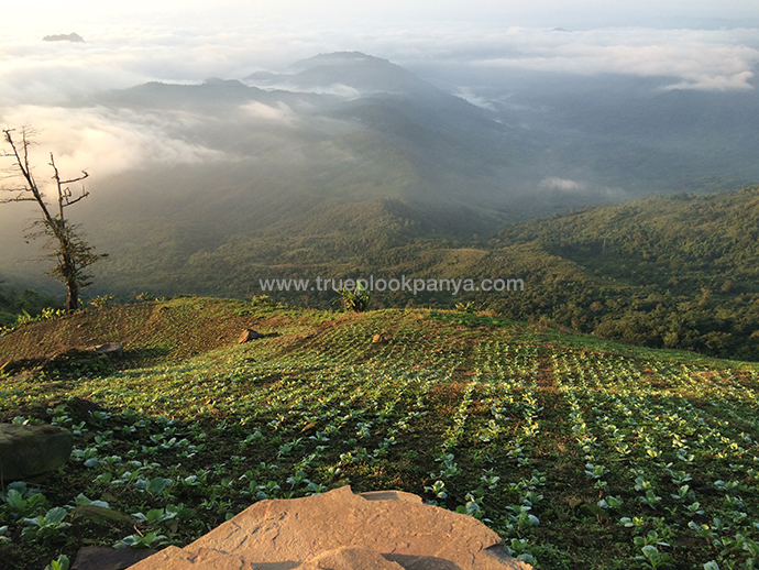 ภูทับเบิก Landmark ใหม่ของเพชรบูรณ์