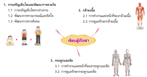 เรียนรู้ตัวเรา