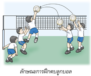 ลักษณะการฝึกตบลูกบอล