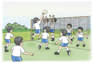 วอลเลย์บอล 