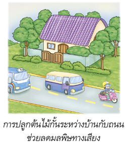 การปลูกต้นไม้กั้นระหว่างบ้านกับถนนช่วยลดมลพิษทางเสียง