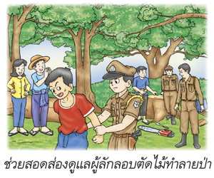 ช่วยสอดส่องดูแลผู้ลักลอบตัดไม้ทำลายป่า