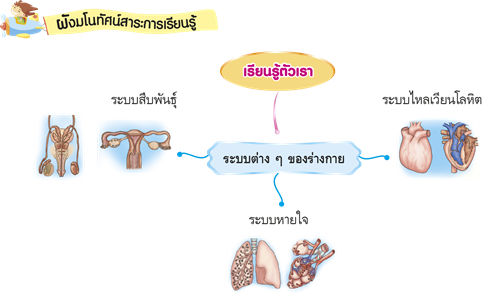 เรียนรู้ตัวเรา